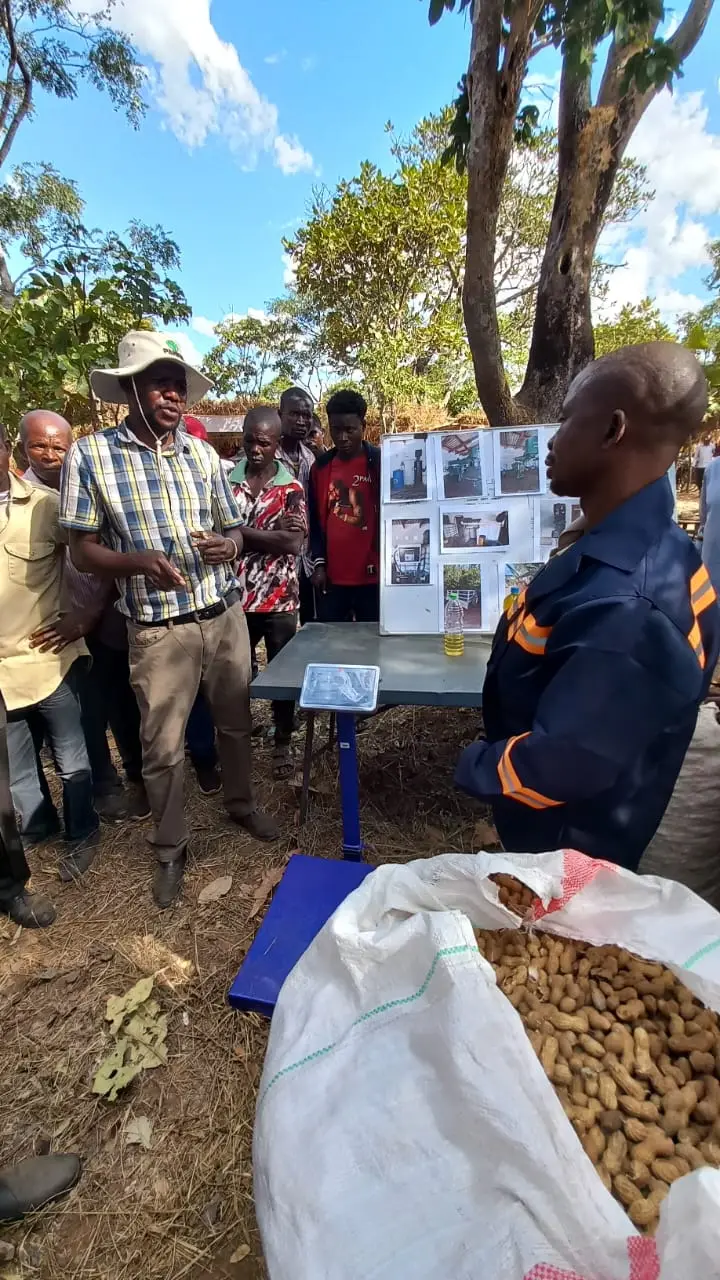 Field training and best practices for higher sunflower yields. Monana agronomist offering technical guidance to sunflower farmers in Zambia with visual training materials.