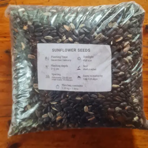Sunflower seeds.webp