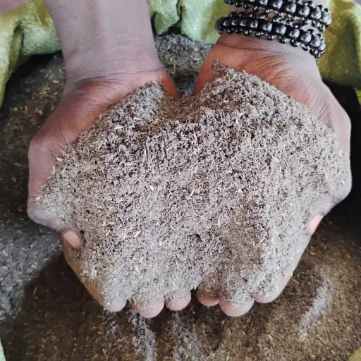 Sunflower Cake, Powder