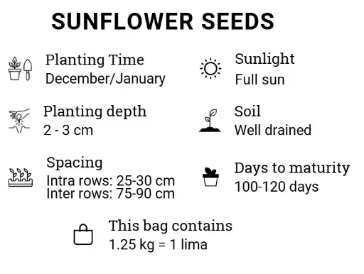 [PSS] Pack of Sunflower Seeds
